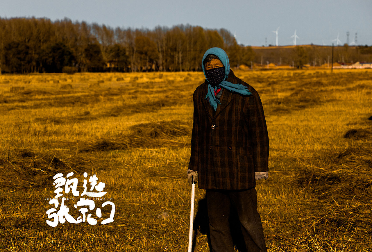 张北放牛（图ZMjQyMjUzNjE2） - 人文/纪实摄影 - 站酷设计师EICOO原创素材 - 站酷ZCOOL