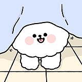 CCIINNYY的头像