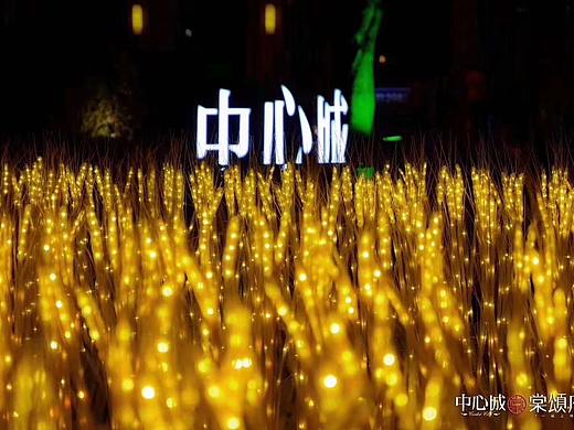 广场亮化树木亮化