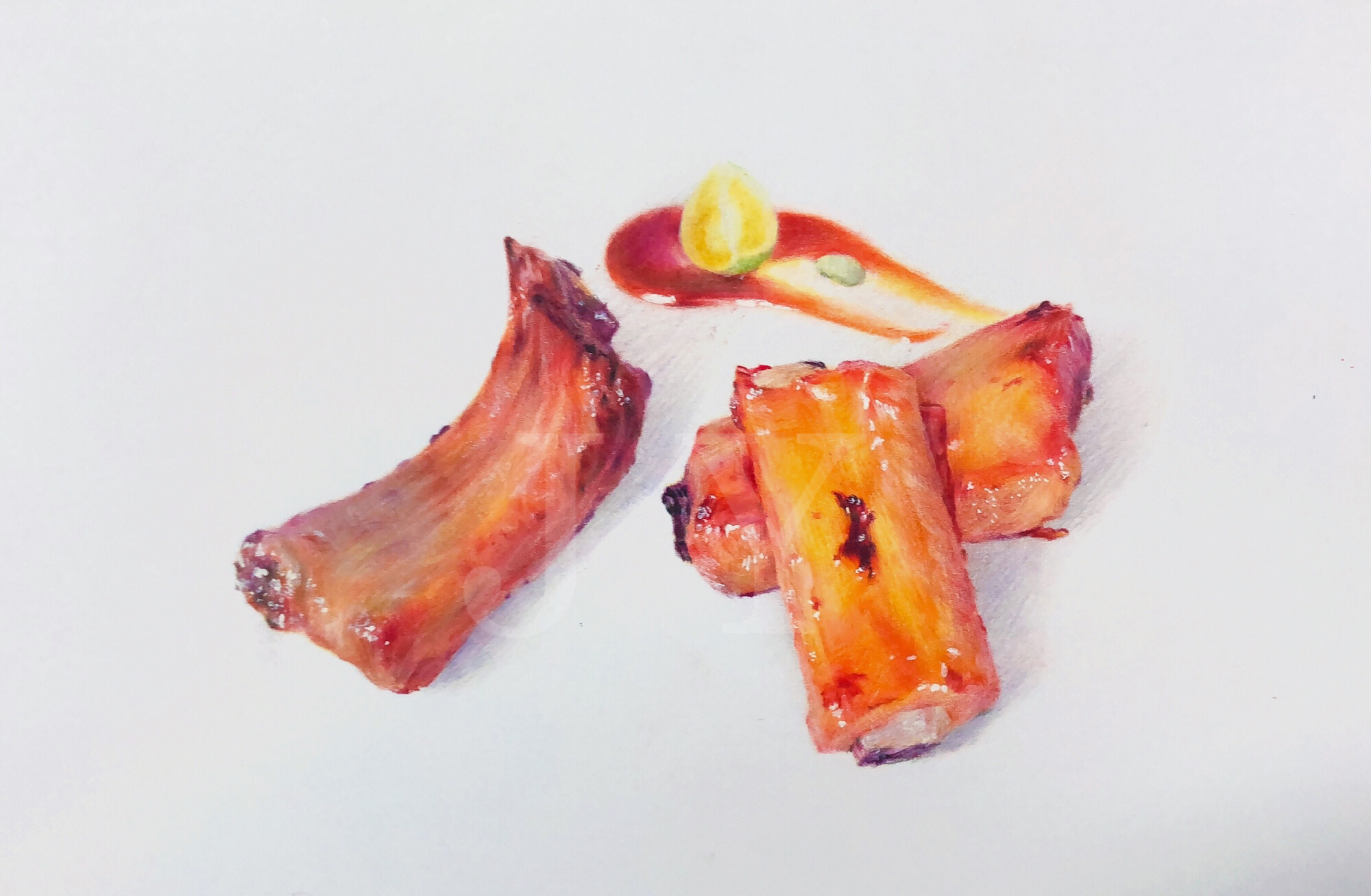 彩铅红烧排骨