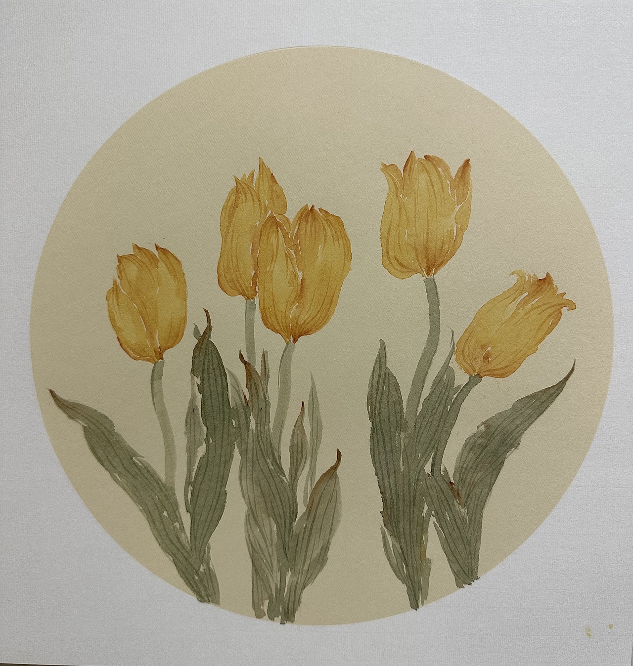 小写意郁金香（图ZMzY4NDc5Mjg0） - 绘画 - 站酷设计师画画的丁果果原创素材 - 站酷ZCOOL