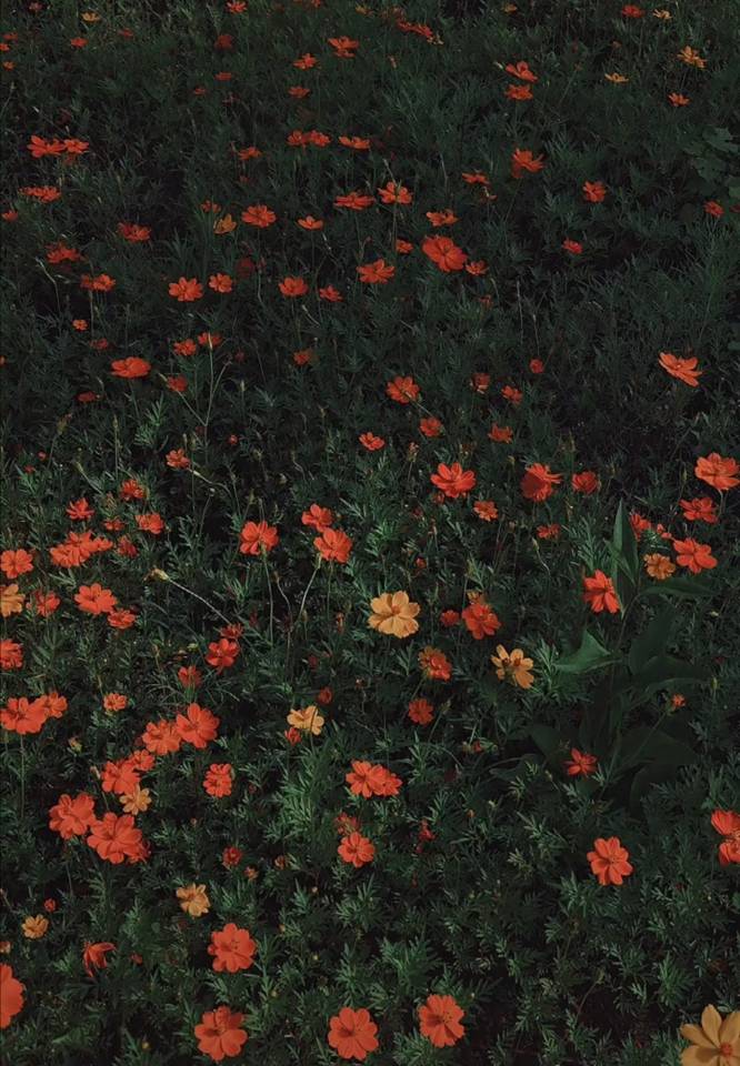 是阿寬的個人主頁（背景預(yù)覽） - 主頁背景設(shè)置 - 站酷設(shè)計師是阿寬原創(chuàng)素材 - 站酷ZCOOL