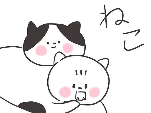 我家猫的日常01