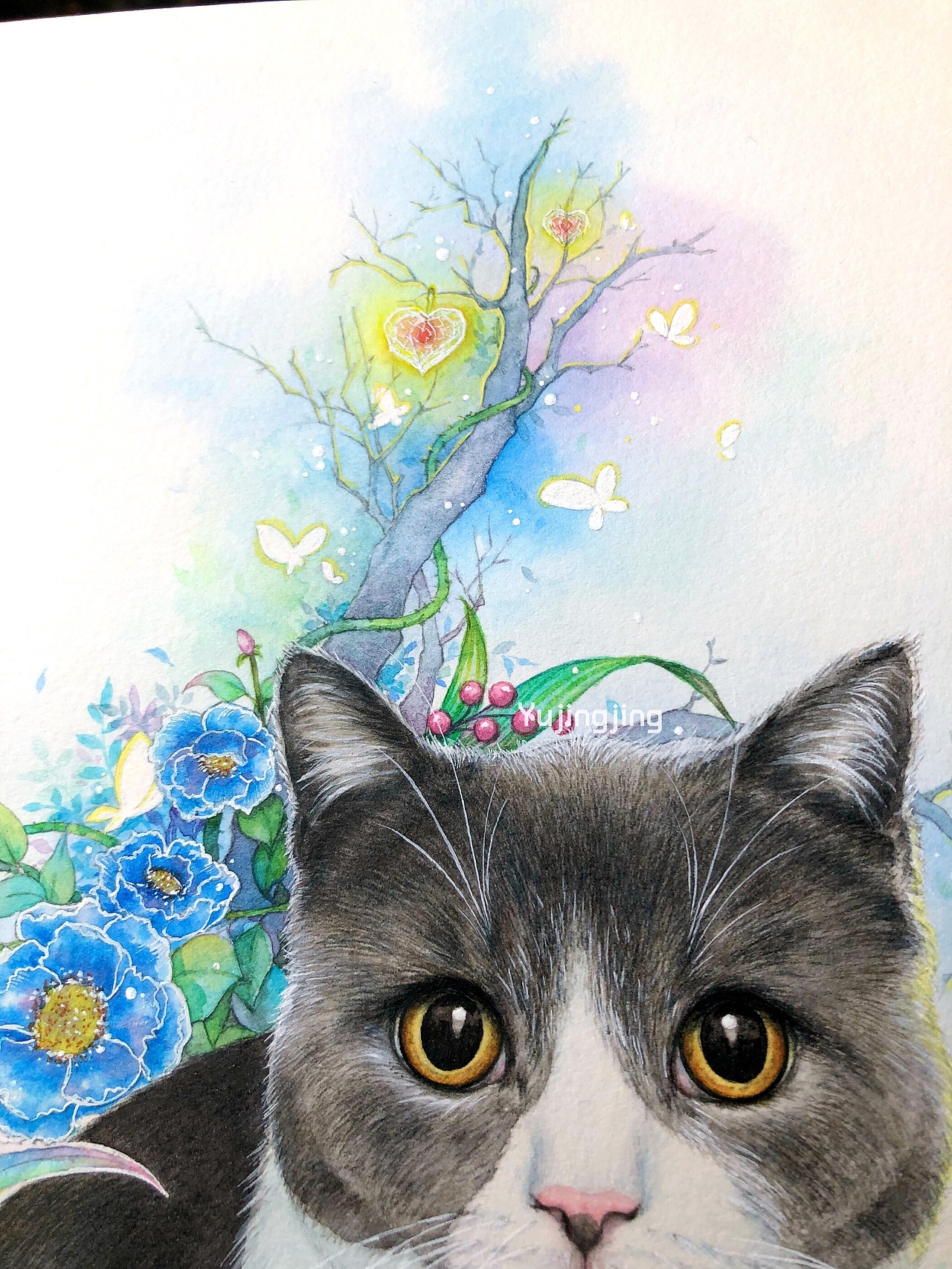 手绘猫咪——英短蓝白