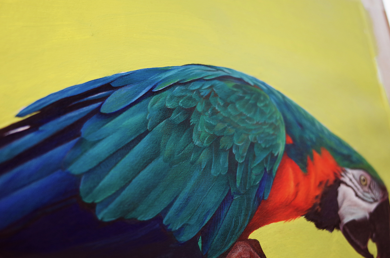 手绘彩铅鹦鹉2（图ZMTkyNTY1MzQ4） - 绘画 - 站酷设计师HENRY凡原创素材 - 站酷ZCOOL