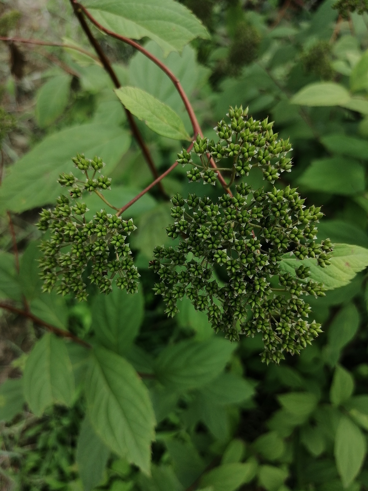 流年浮生（圖ZMjA0Mzk5Mjky） - 環(huán)境/建筑攝影 - 站酷設(shè)計(jì)師A玖熙原創(chuàng)素材 - 站酷ZCOOL