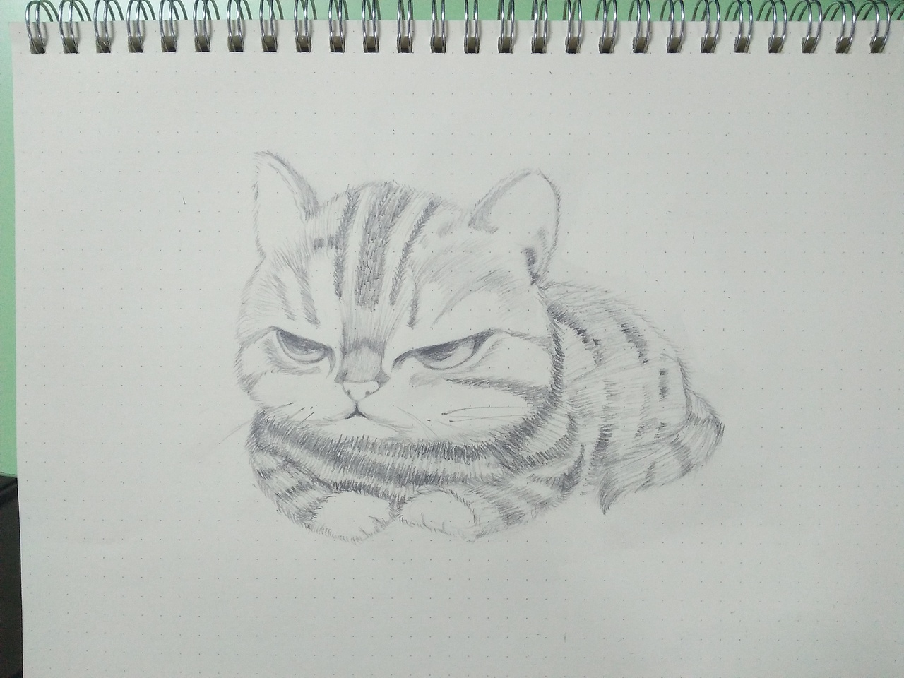 小动物（图ZODc4ODAzMTI=） - 创作习作 - 站酷设计师八万万万原创素材 - 站酷ZCOOL