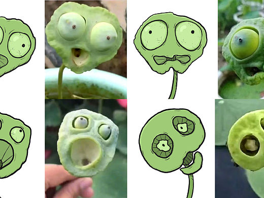 大学里充满怨气的莲蓬头🙃🙃🙃