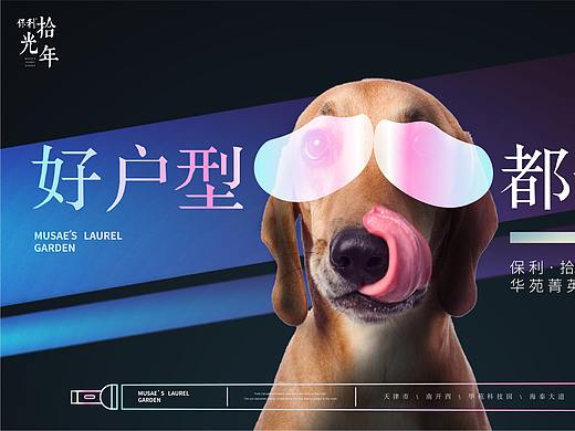 保利拾光年提报-我投下一枚炸弹！