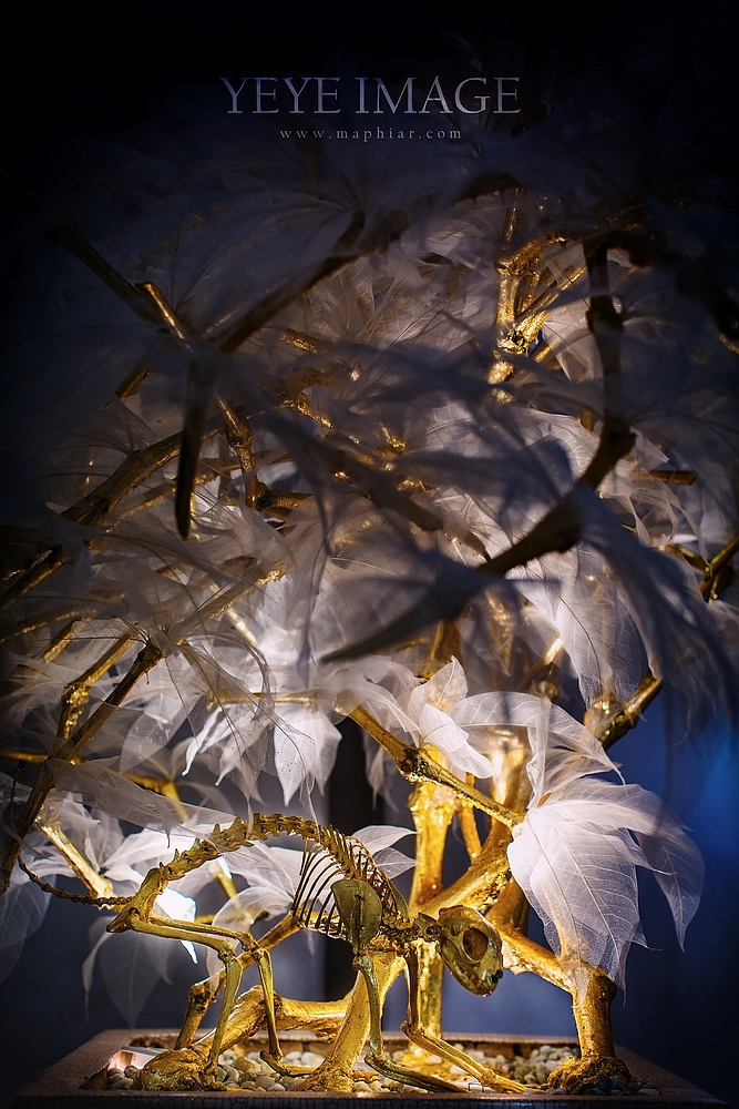 2013广美毕业展