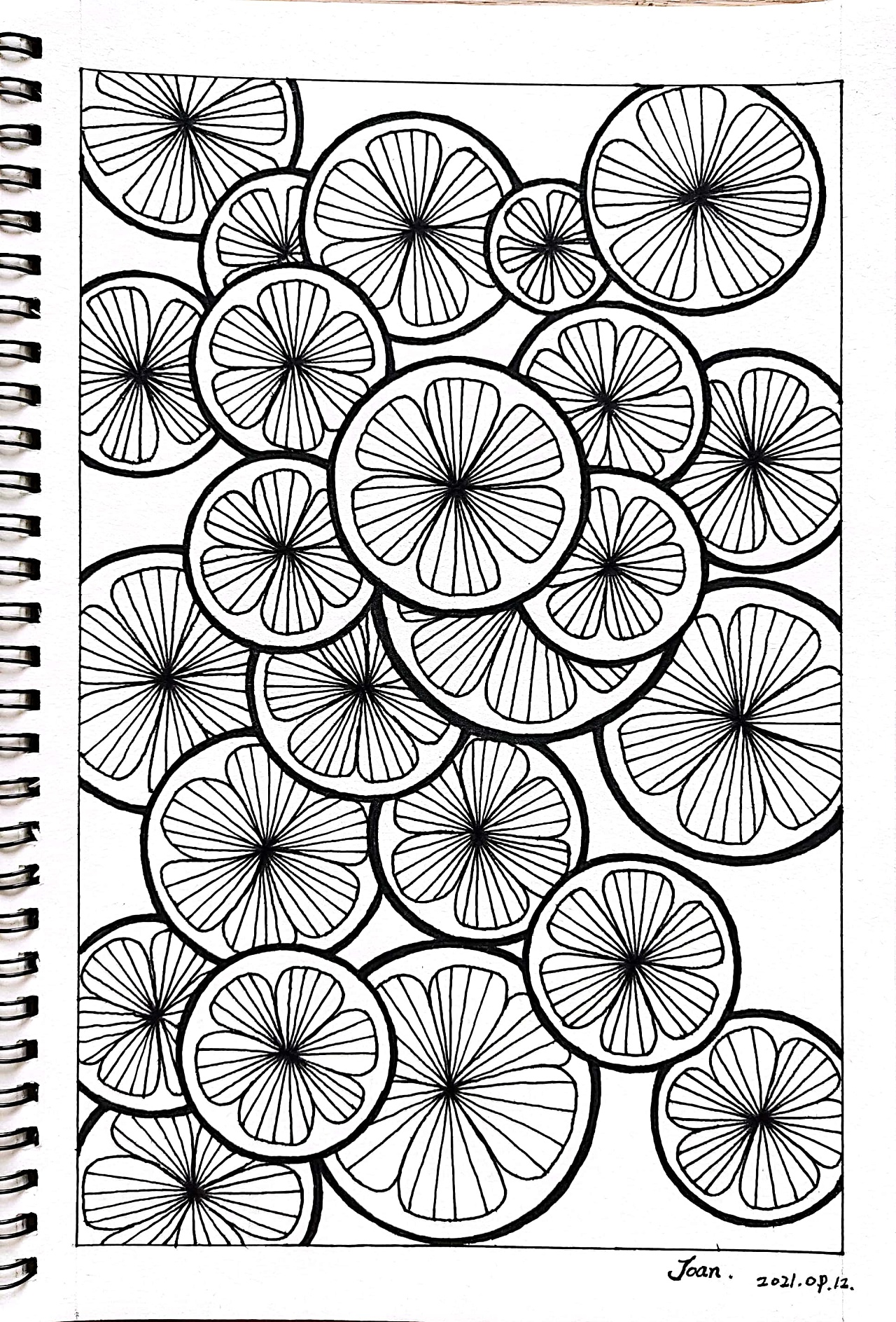 控笔练习76|插画|创作习作|joan_design - 原创作品 - 站酷 (zcool)