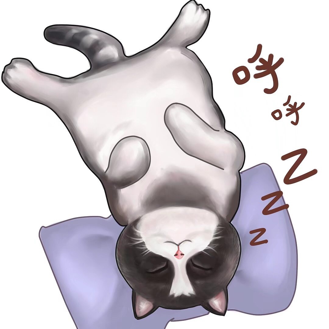 微信表情包肥猫呆萌