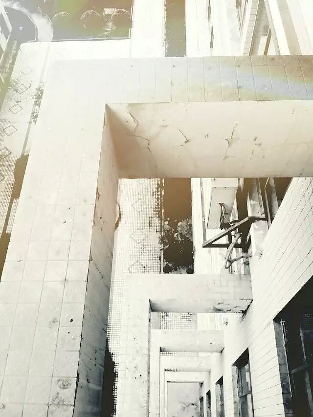 那一年，我的校园，我们的月亮岛