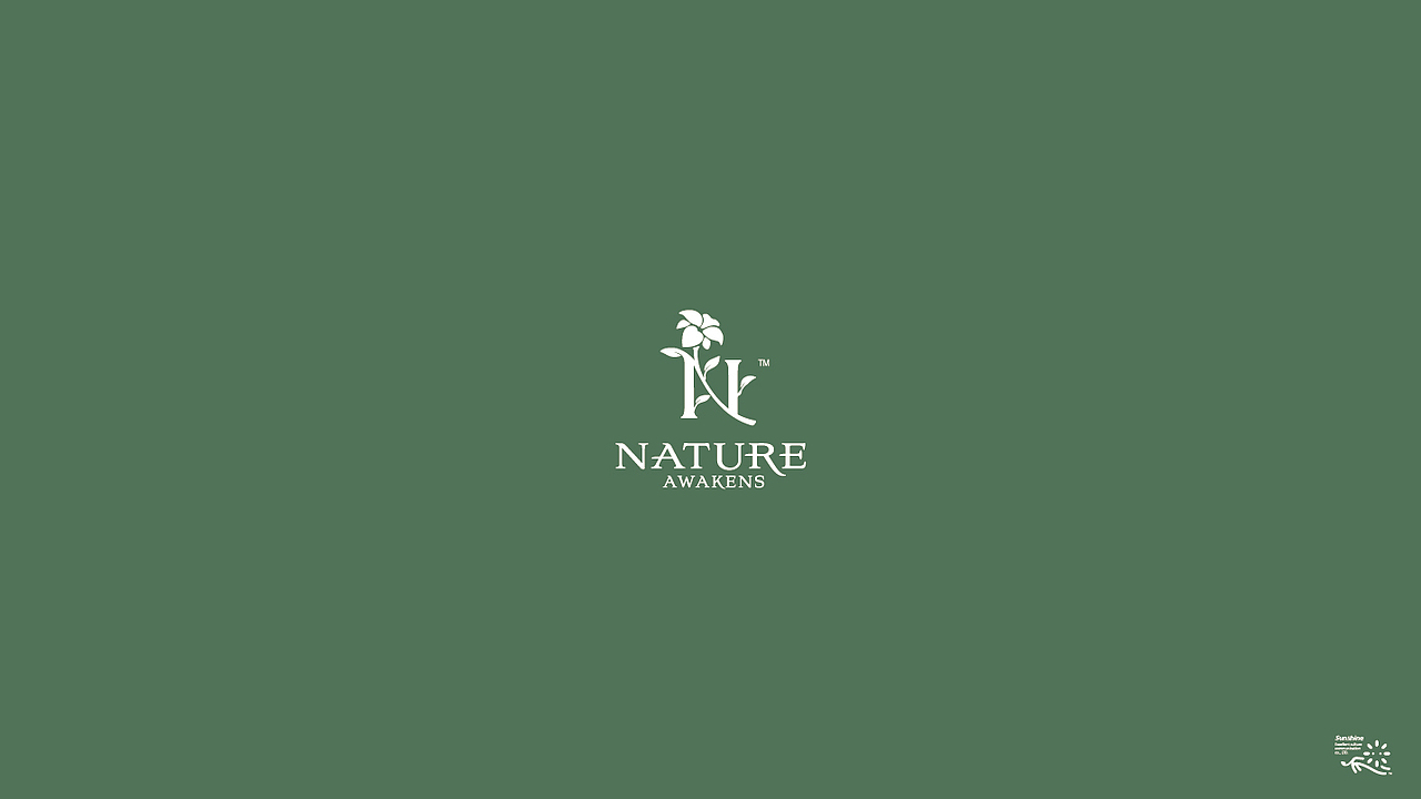 LOGO 电竞LOGO设计 宠物LOGO 科技LOGO 旅游logo vi