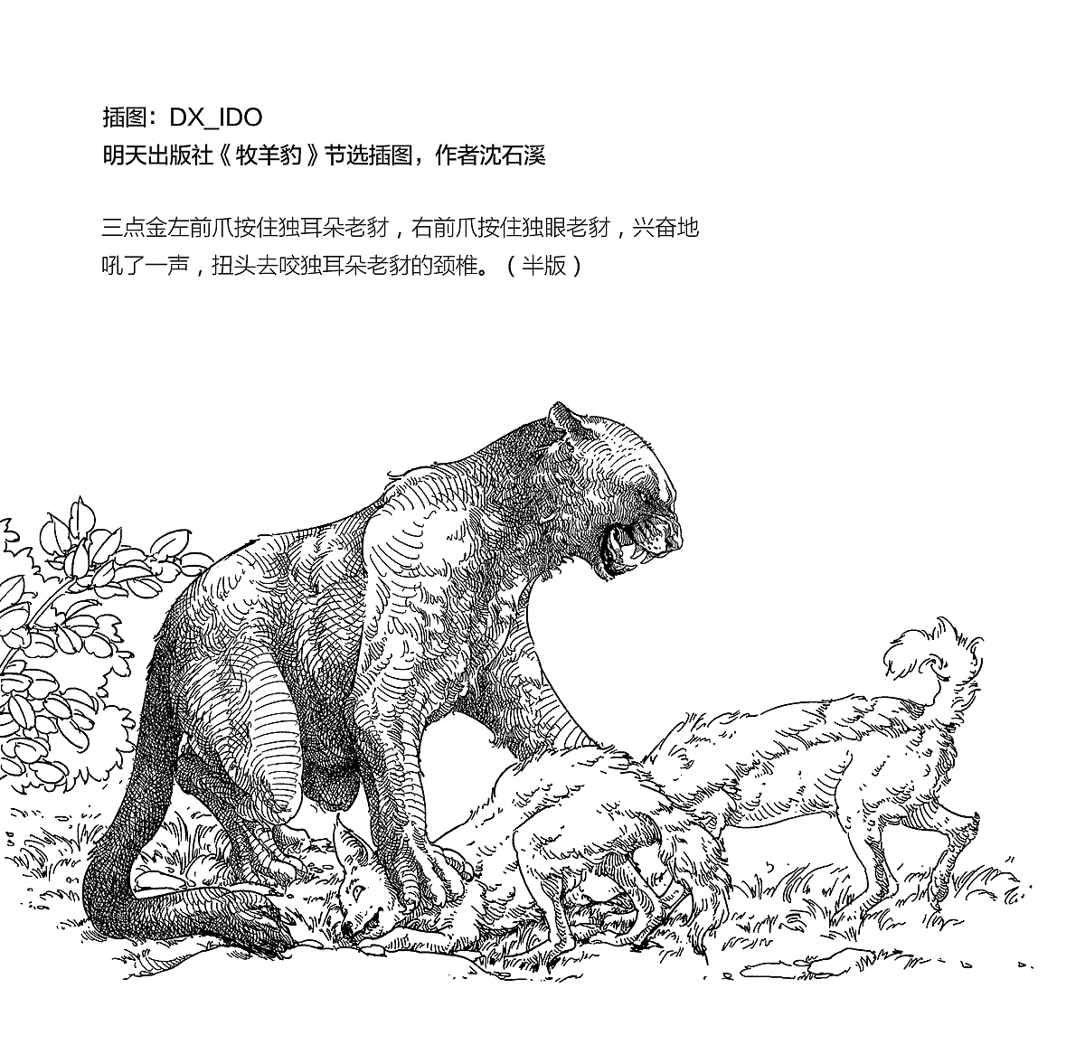 2189 一些插图整理（图ZMTI5NTg5MTQw） - 绘画 - 站酷设计师DX_IDO原创素材 - 站酷ZCOOL