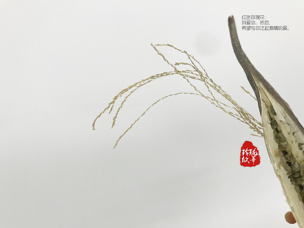 玲珑欣莘艺术插花作品：帆.航烸[hǎi]（图ZMTg0MDU1Mzcy） - 其他手工艺 - 站酷设计师xingxing101原创素材 - 站酷ZCOOL