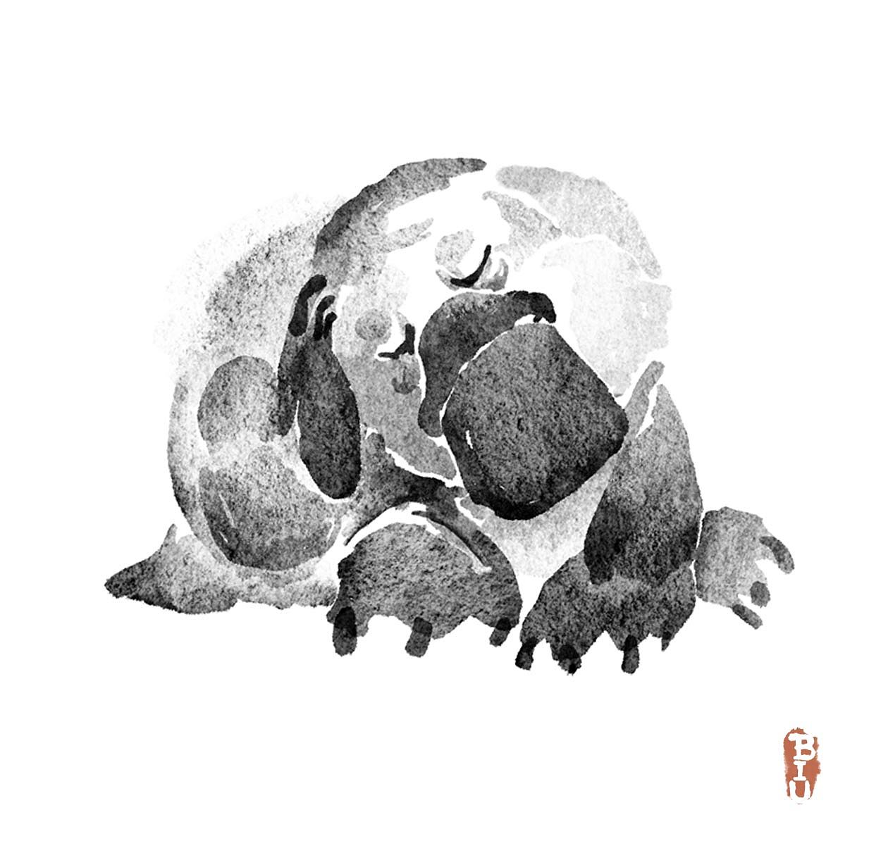 百痒圖（图ZMjkzMDkxMTEy） - 艺术插画 - 站酷设计师BIUBIU已经被注册原创素材 - 站酷ZCOOL