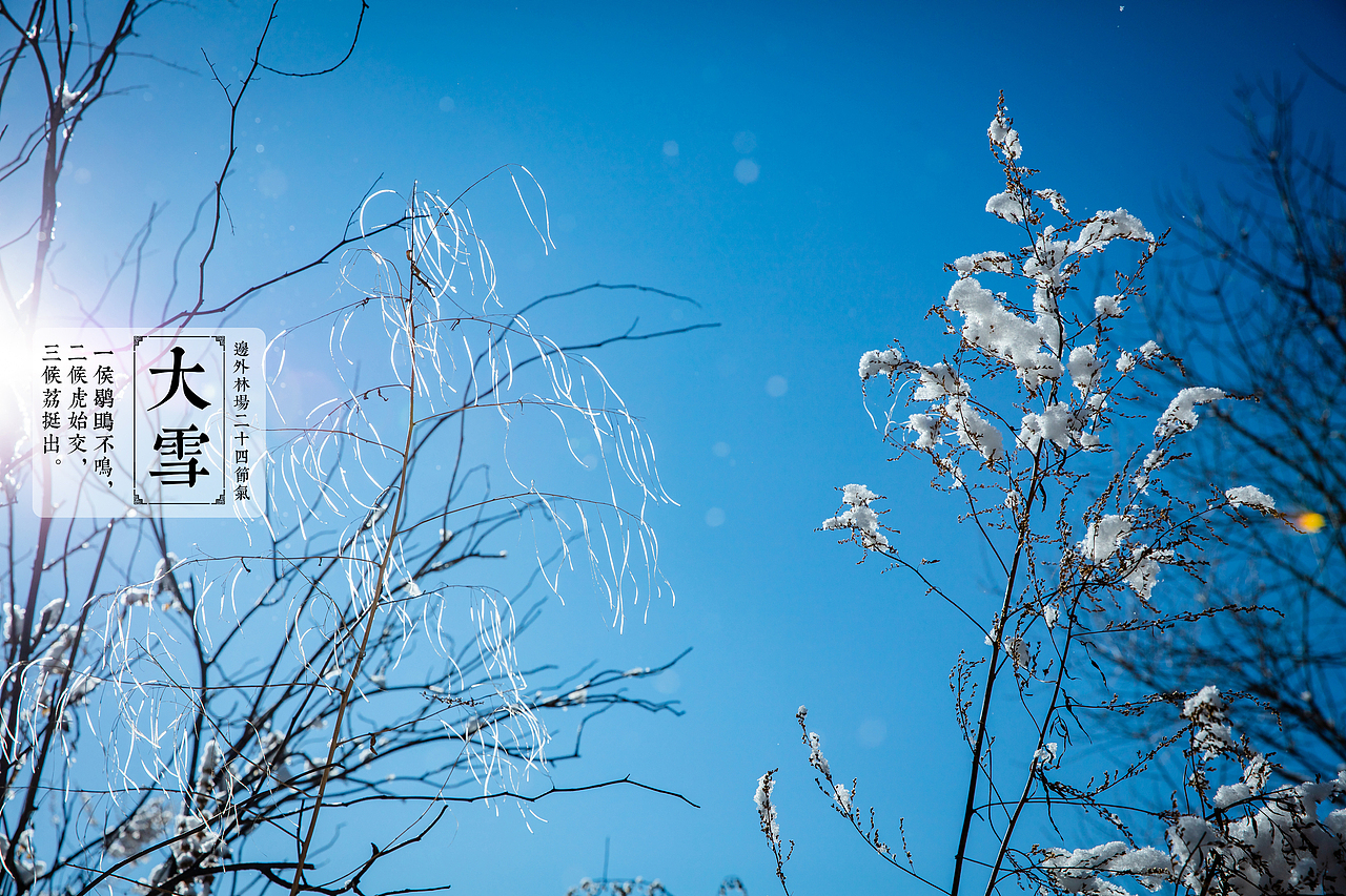 二十四节气之大雪 边外林场拍摄（图ZMTg5OTY5NDk2） - 风光摄影 - 站酷设计师边外林场原创素材 - 站酷ZCOOL