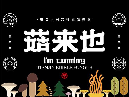 菇来也品牌形象包装设计——疯狂的铅笔头