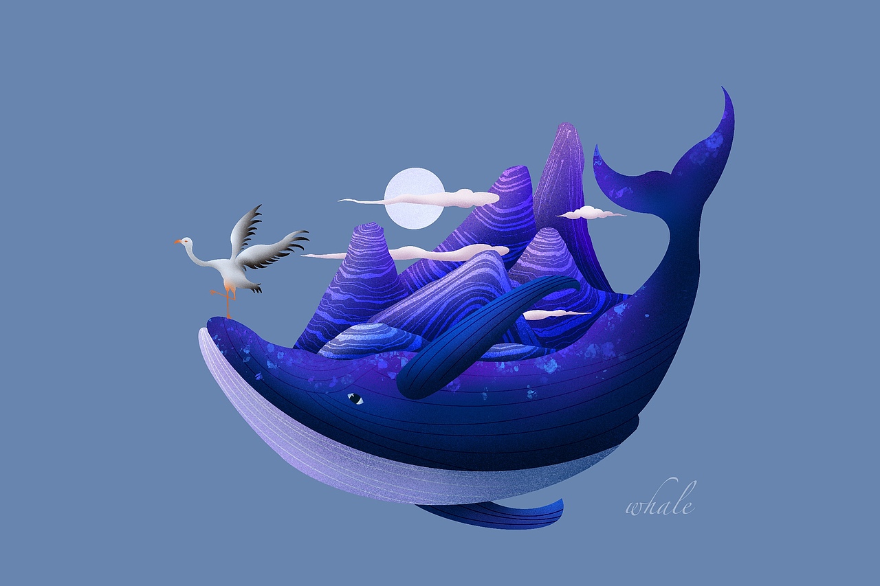 鲸鱼|插画|创作习作|筱妮姊_原创作品-站酷zcool