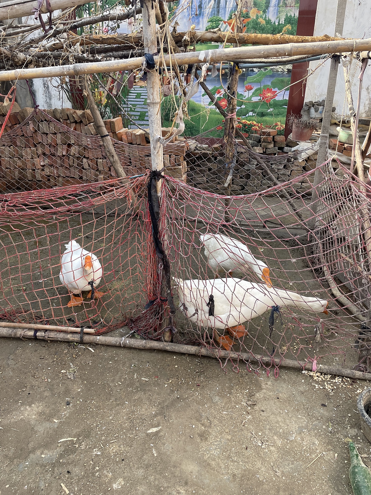 有一天我望远山 远山悲悯