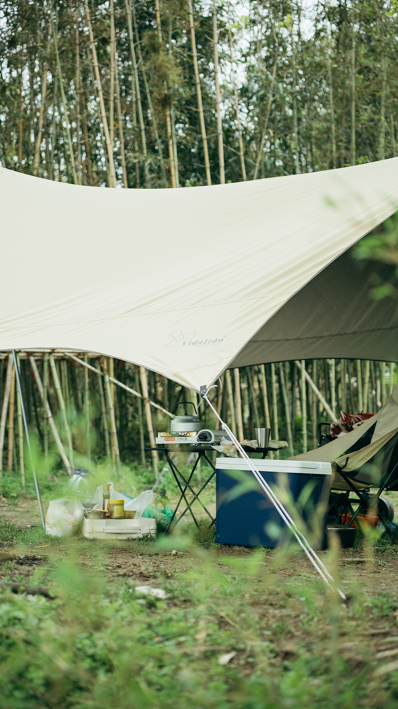 0326苕溪边露营记录（图ZMjk0ODExMzI0） - 风光摄影 - 站酷设计师蒙蒙酱原创素材 - 站酷ZCOOL