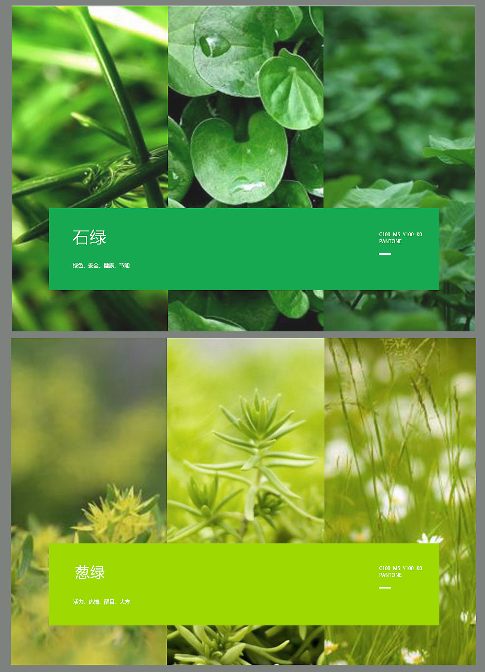 标志（图ZMTUxNjcyMjAw） - Logo - 站酷设计师心不可安原创素材 - 站酷ZCOOL