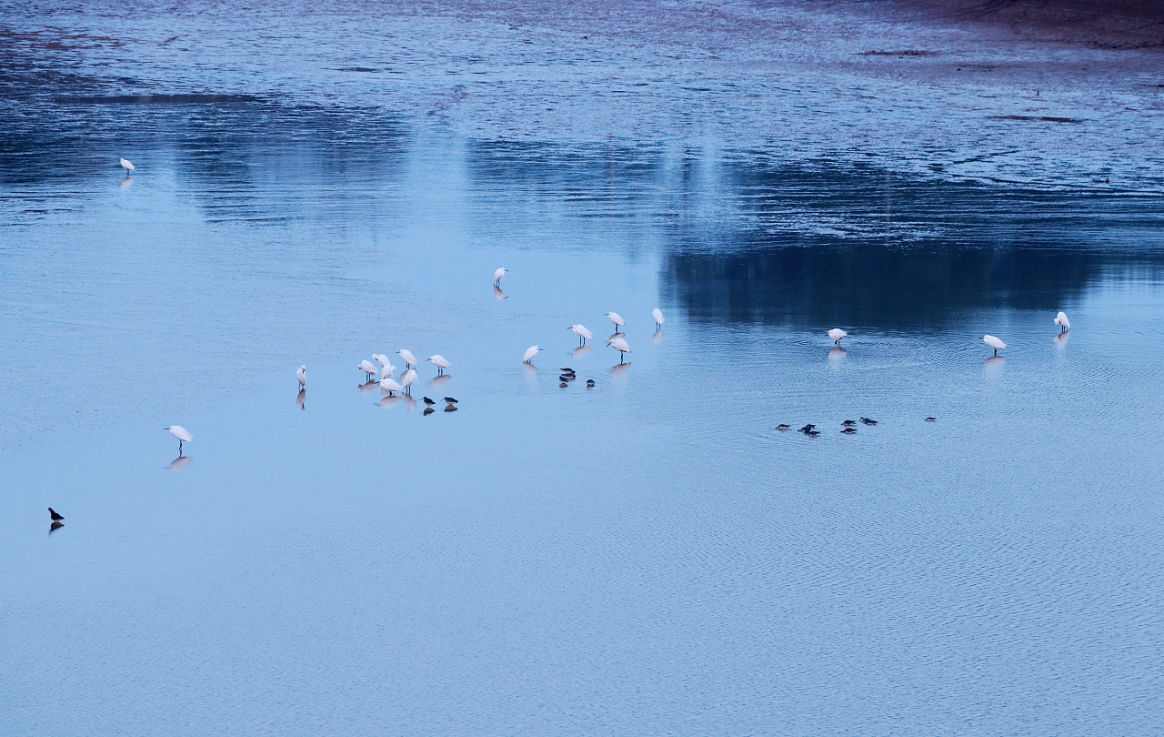 鄱阳湖进入枯水期 湿地景观美翻了 戳图欣赏！|鄱阳湖|湿地_新浪新闻