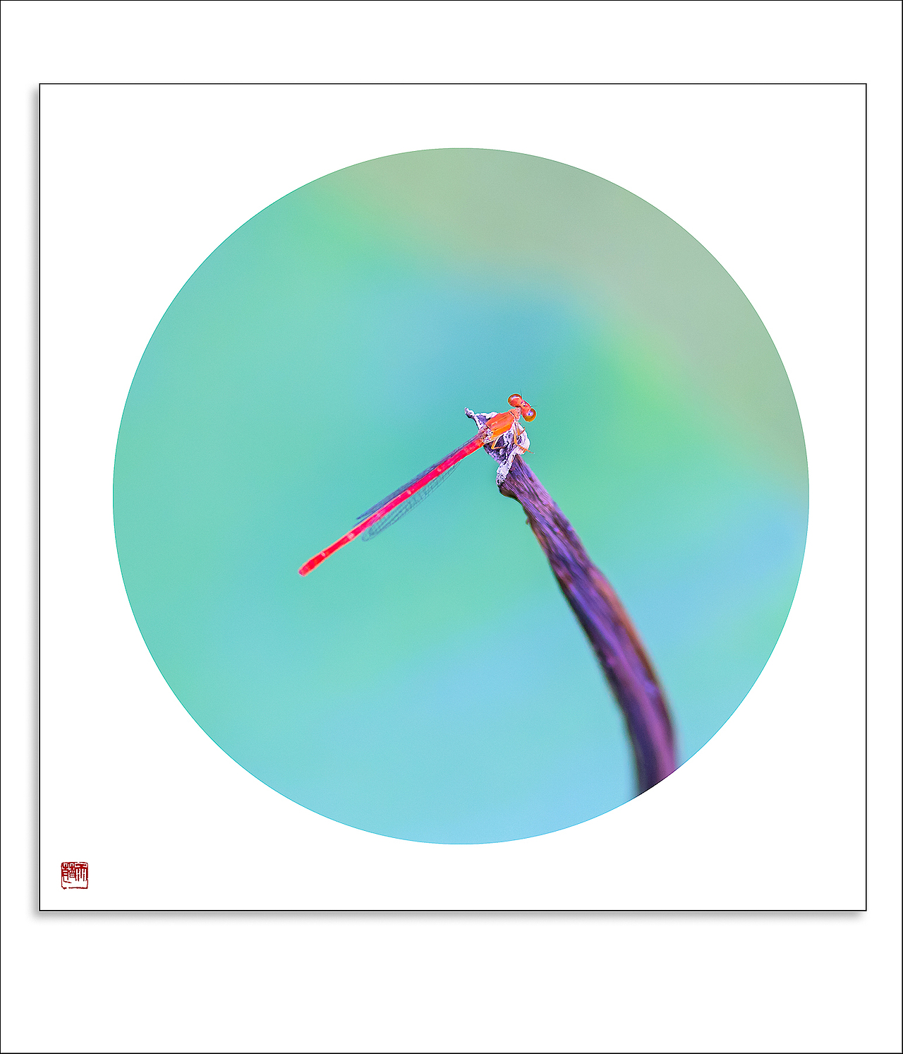 夏日物语（图ZNTQ2NTg1MDA=） - 风光摄影 - 站酷设计师雨萌1994原创素材 - 站酷ZCOOL