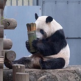 乐心lx的头像