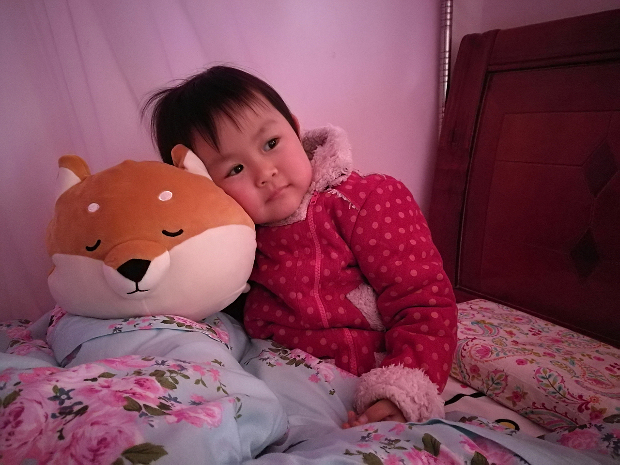 (娃他妈)手绘萌宠狗系列（图ZMTA0ODk0MzI0） - 商业插画 - 站酷设计师娃他妈原创素材 - 站酷ZCOOL