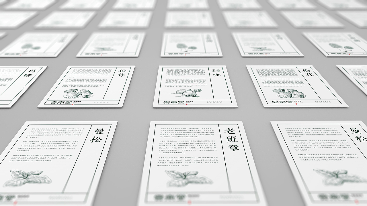 《雲南堂》品牌设计-来自深山的礼物