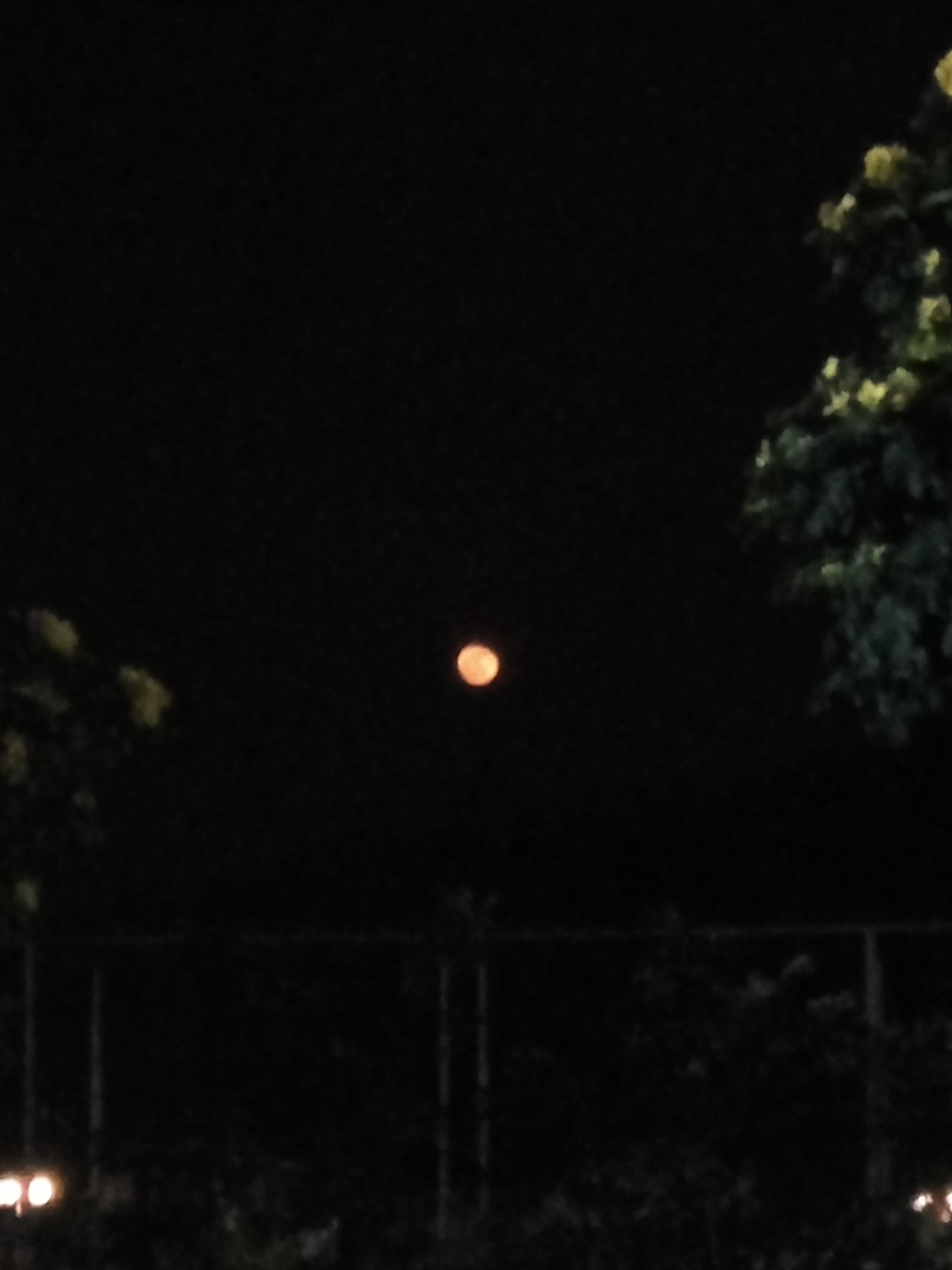 十里莲江（图ZMTM2MzM1MDcy） - 产品摄影 - 站酷设计师嘟嘟2019原创素材 - 站酷ZCOOL