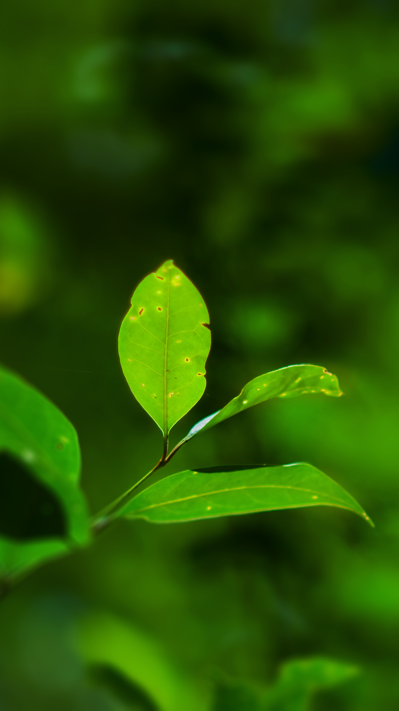 平常心（圖ZMzczODkxMjg=） - 其他攝影 - 站酷設(shè)計(jì)師HK754202733原創(chuàng)素材 - 站酷ZCOOL