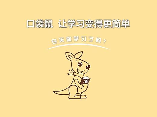 口袋鼠品牌展示图片