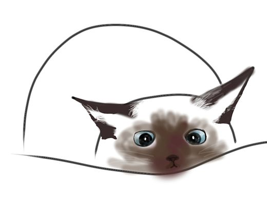 泥的日记|认真的豆泥