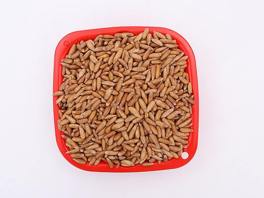 B08零食\C07-坚果炒货\V10巴西松子X1-QM