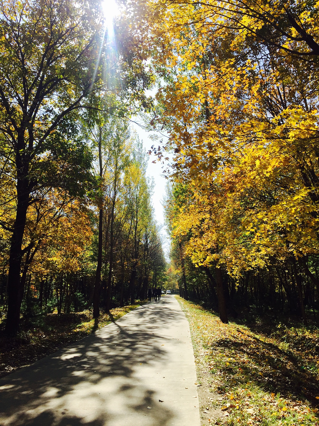 午后|摄影|风光|你瞅啥呐 - 原创作品 - 站酷 (zcool)