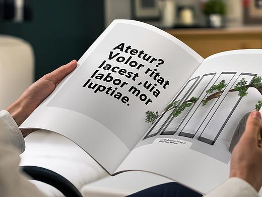 绿植品牌宣传册