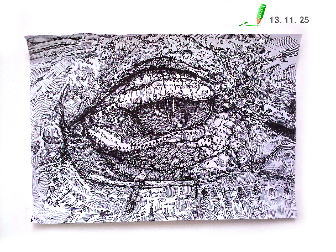 古老的水中杀手——2