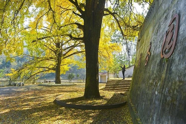 家乡的秋天（图ZMTMwODc2NzQ4） - 风光摄影 - 站酷设计师雁过无恒原创素材 - 站酷ZCOOL