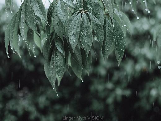 雨天小时光2