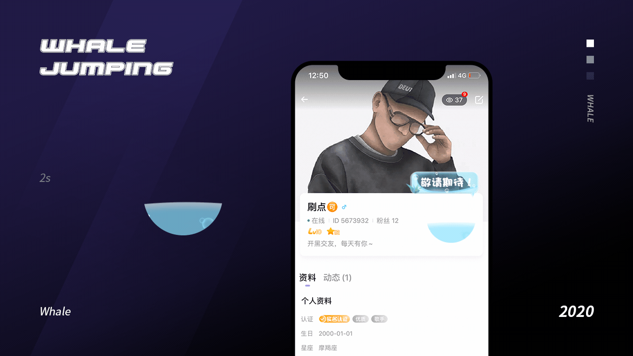 2020作品总结（图ZMjM3NDQ2NzQw） - 其他UI - 站酷设计师猛猫下山原创素材 - 站酷ZCOOL