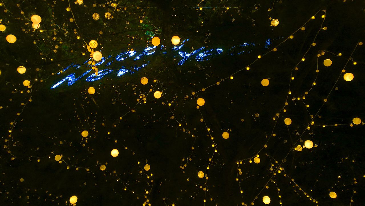 所到之处,皆是风景。