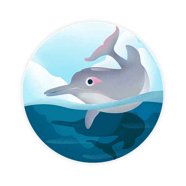 2019咕咚濒临动物插画奖章系列