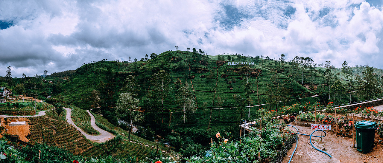 行走在印度洋上的眼泪——斯里兰卡°