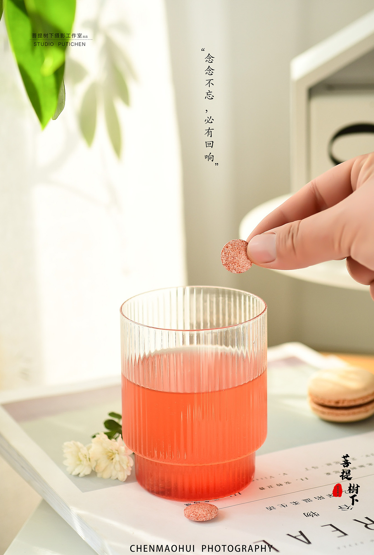 压糖片和秘密菌（图ZMjMzMzU0NjQ4） - 产品摄影 - 站酷设计师摄影师陈茂辉原创素材 - 站酷ZCOOL