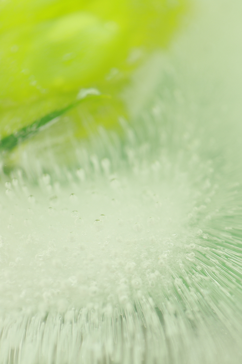 冰封桔梗 治愈绿色（图ZMzMyMjcxMzQw） - 其他摄影 - 站酷设计师Z790308645原创素材 - 站酷ZCOOL