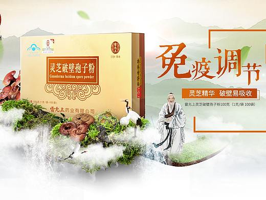 灵芝孢子粉海报