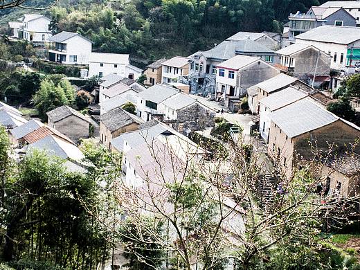 田间楚楚泛金光（个人主页-ZMzQ1NTUyMjA=） - 风光摄影 - 站酷设计师M_巧克力派原创素材 - 站酷ZCOOL